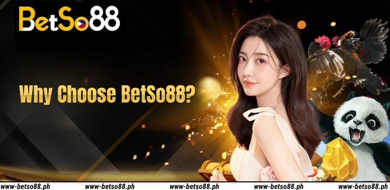 Why Choose BetSo88?